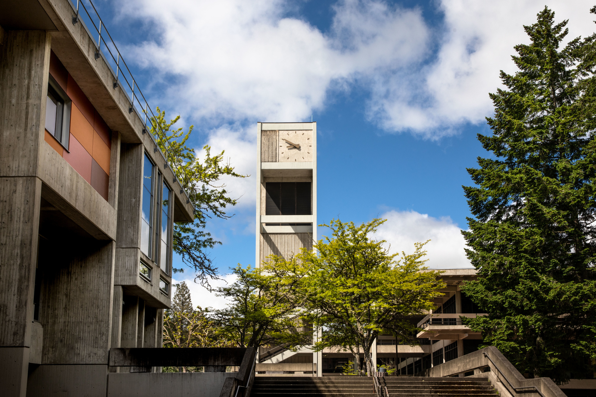 clock tower spring foliage