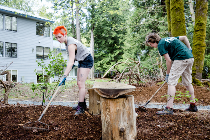 Students working on landscaping on campus