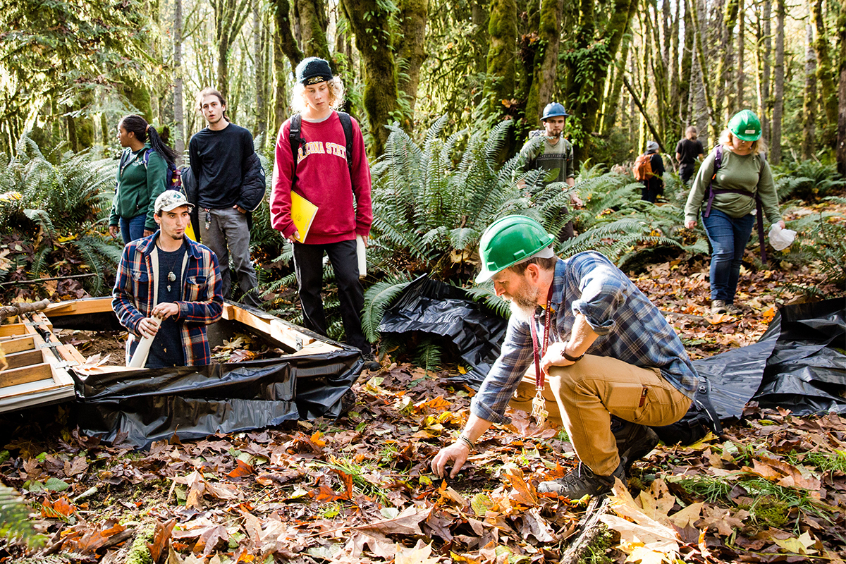 Forests and farms lab