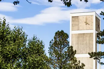 The clock tower framed by tree branches