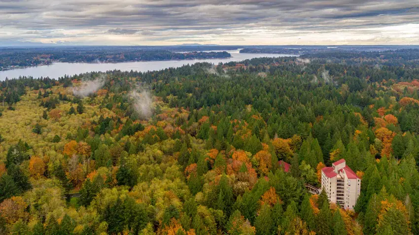 Campus Fall Aerial View