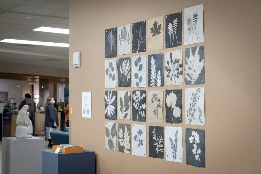 A piece from the Science Stories exhibit. Many botanical drawings hung on the wall in a 6x4 grid
