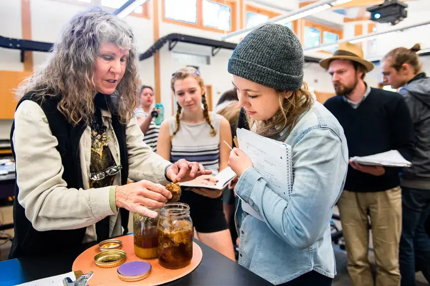 students and a professor around a table with jars of honey. the professor is giving a demonstration with the honey 