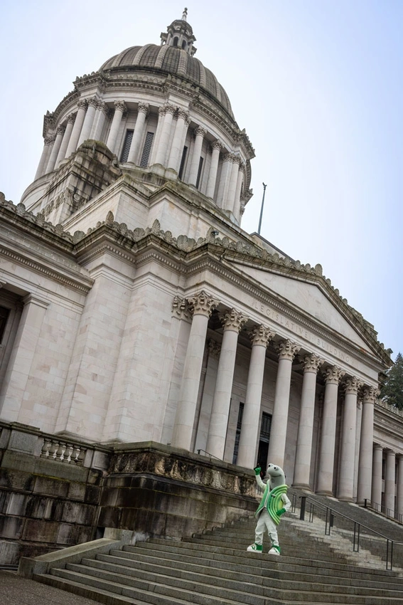 Washington state capitol dome with Evergreen geoduck mascot posing on stairs